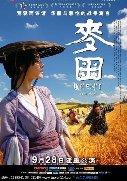 西布列塔尼大学金融文凭证书